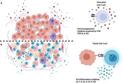 CAR-T Therapy for Pediatric High-Grade Gliomas: Peculiarities, Current Investigations and Future Strategies